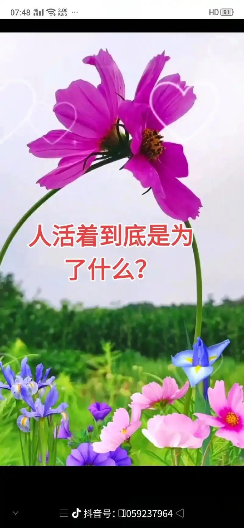 让我们一起来追求生命的真谛,人活着到底为什么,从哪里来?要到 - 抖音