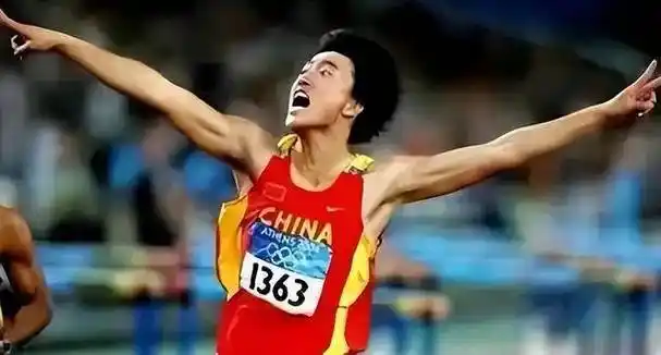 在2008年北京奥运会上,刘翔因伤未能参赛,这一幕让众多粉丝感到遗憾.