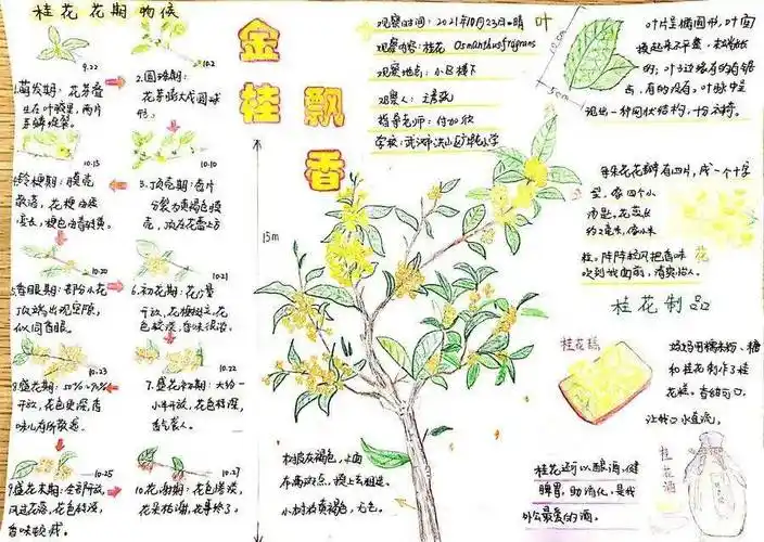 自然笔记第二期