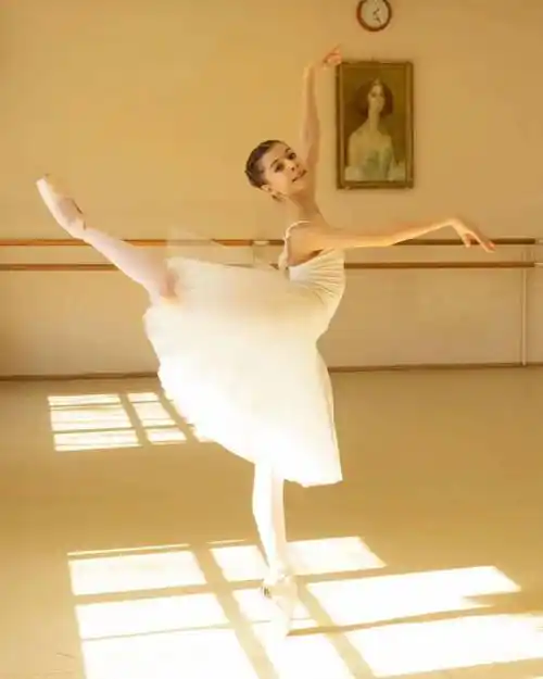 芭蕾小百科:芭蕾意识的二三事儿(一)_意象_动作_舞蹈