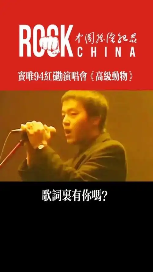 窦唯高级动物
