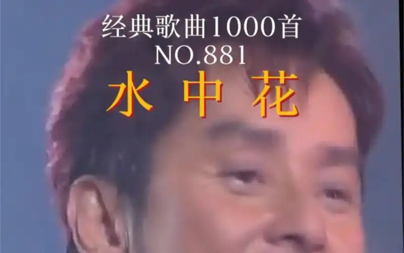 把节奏放慢,生活是爱也是 经典老歌 水中花 谭咏麟