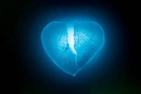 冰冻碎在半心象征蓝色特写在黑暗中在蓝色冷光中发光.