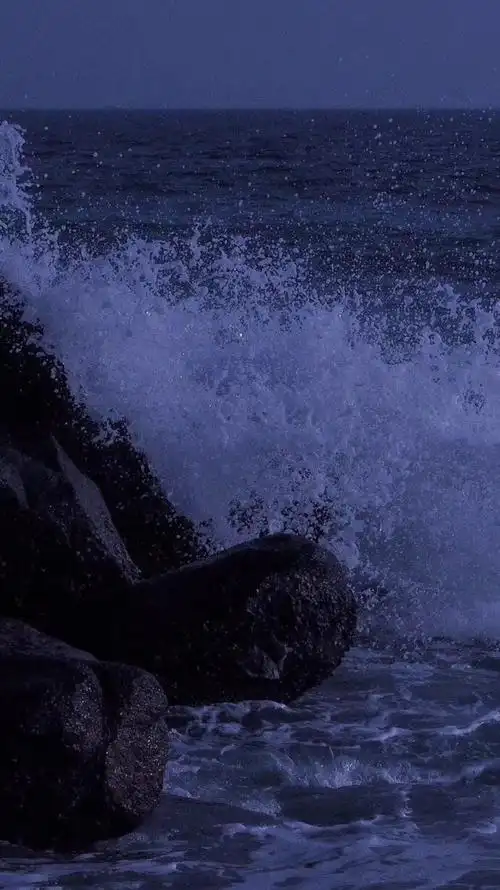 1600_2848竖版 竖屏