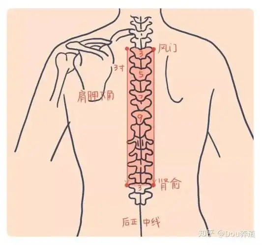 还以为刮痧只能排毒?那你就大错特错了!