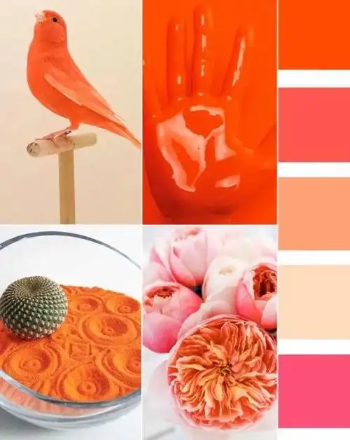 新知达人, 2024春夏流行色趋势:红细胞