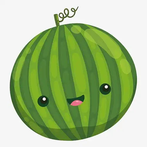初夏水果可爱西瓜