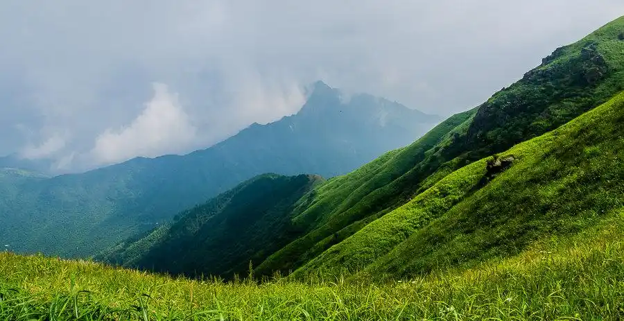 高山草甸