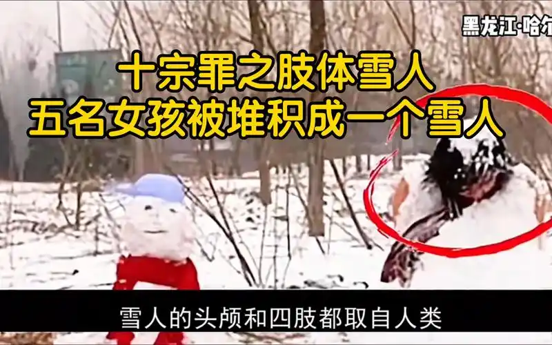 十宗罪之肢体雪人,五名女孩被堆积成一个雪人 【哈尔滨雪人案】【犯罪