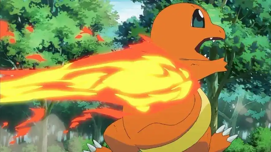 神奇宝贝之我不是小智第20话:杰尼龟加入,还跟小火龙大打出手?