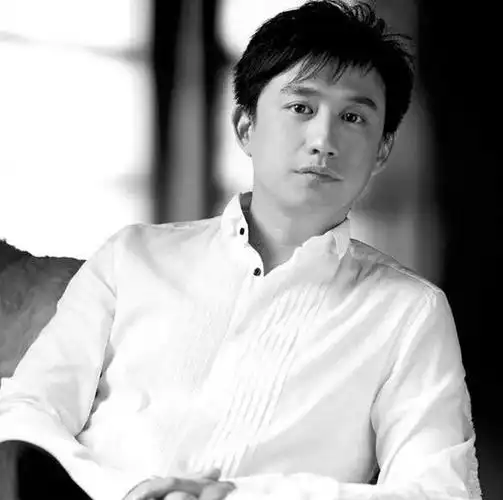 黄磊在九十年代,那是内地公司唯一一个能够和港台偶像艺人对标的明星