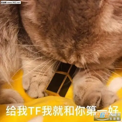 想要一只香奶奶雕也可以表情包-别的小朋友都有杨树林表情包下载-乐游