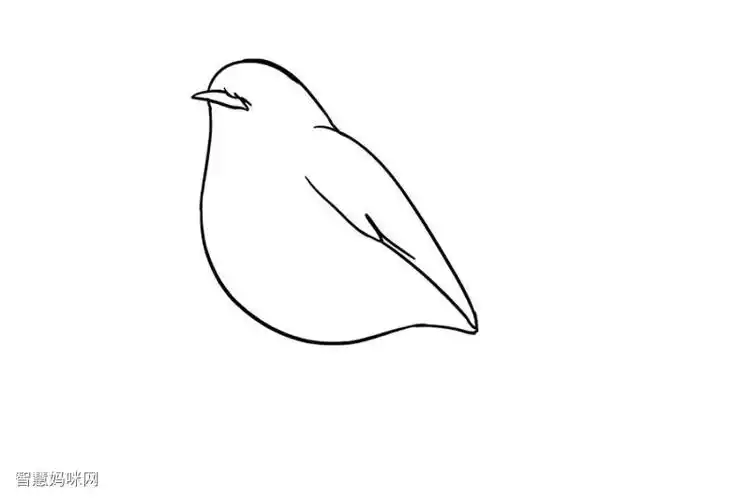 如何画知更鸟-图3如何画知更鸟-图2如何画知更鸟-图1简笔画作品完成图