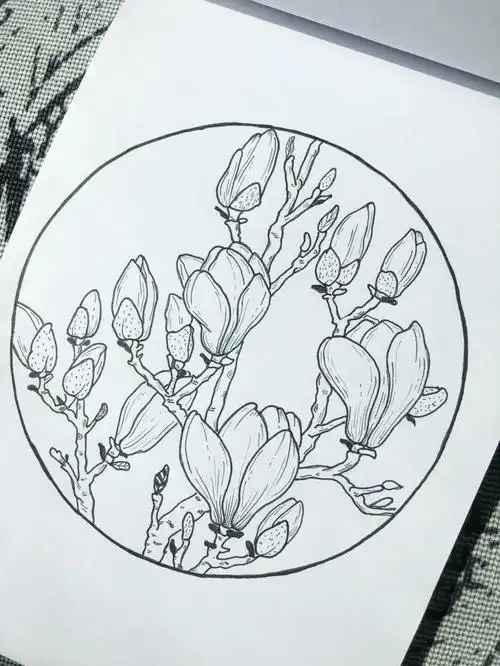 春暖花开玉兰附绘画过程