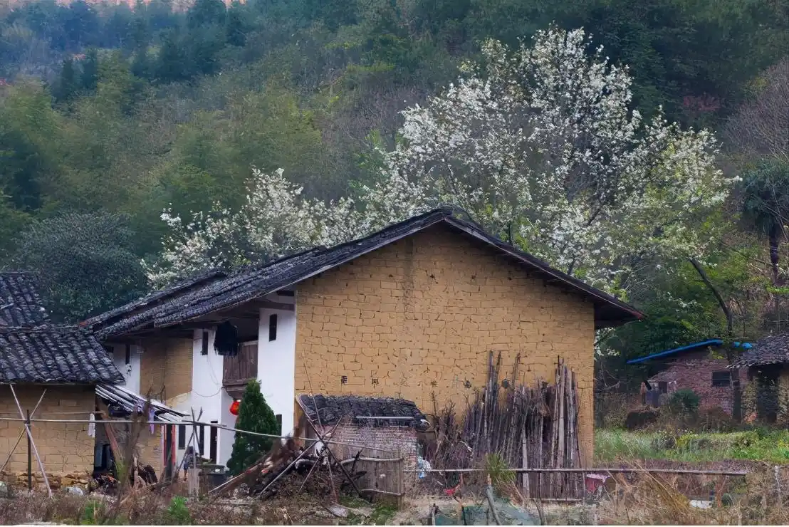 农村有老房子的注意,"继承权"迎来新规,以后统一这样处理