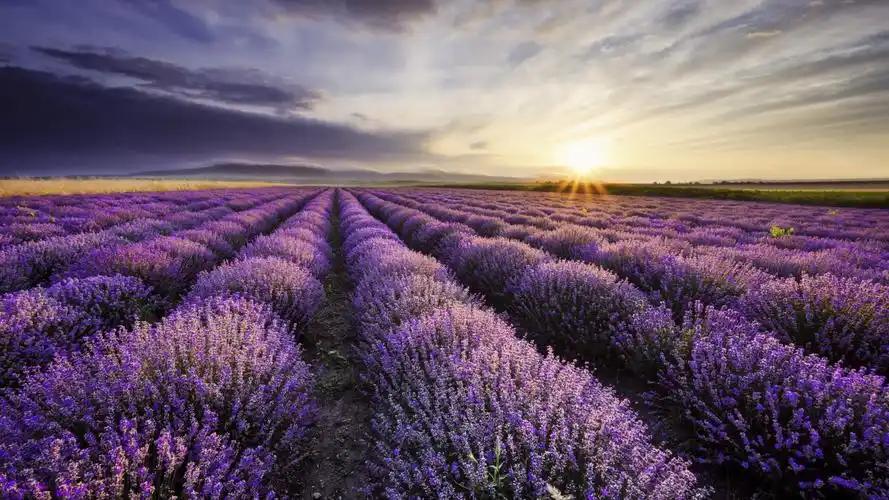 如何能知道win10随机更换的聚焦锁屏壁纸图片拍摄的都是哪些地方