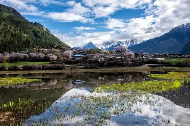 西藏冬季旅游指南,带你走遍天湖,神山,林海!