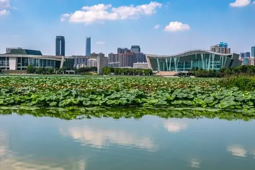 汉阳月湖,被誉为"武汉市最美客厅",城市建筑犹如建在森林中|汉阳区