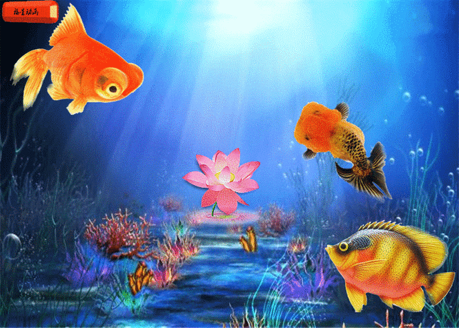 700_500gif 动态图 动图