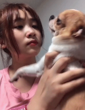 03▲小煤球天生南瓜眼,有人说它不详,唯独女主人不嫌弃,猫咪吐舌头的