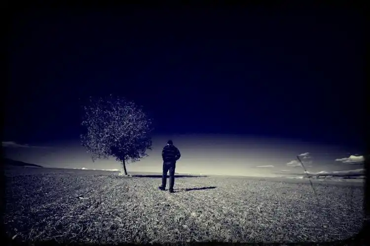 独自流浪多悲辛.难道路上没别人,不如同姓兄弟亲.