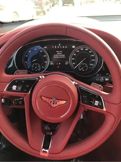 脚部以上的空间几乎都被真皮包裹,整个中控台的造型与宾利欧陆(参数