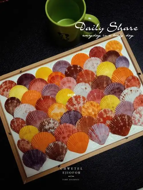 二:贝壳抹了一层油,显色度高.三:手工胶水粘上去的.