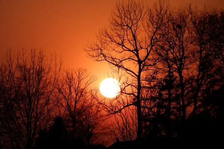 第二语言乡村落日