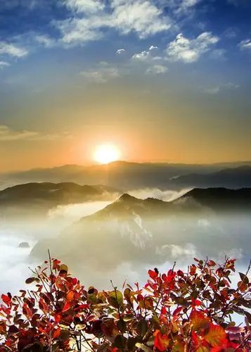 又到满山红叶时