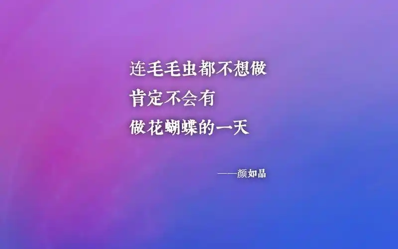 奇葩说经典心灵鸡汤文字图片壁纸 第一辑