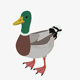 彩色花纹设计鸭子