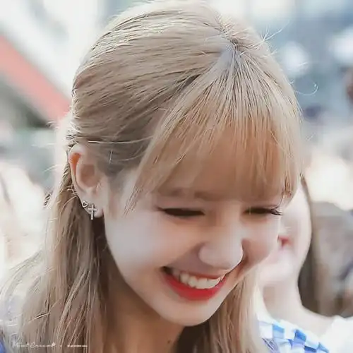 lisa自截二改收藏专辑标明dt小猫干