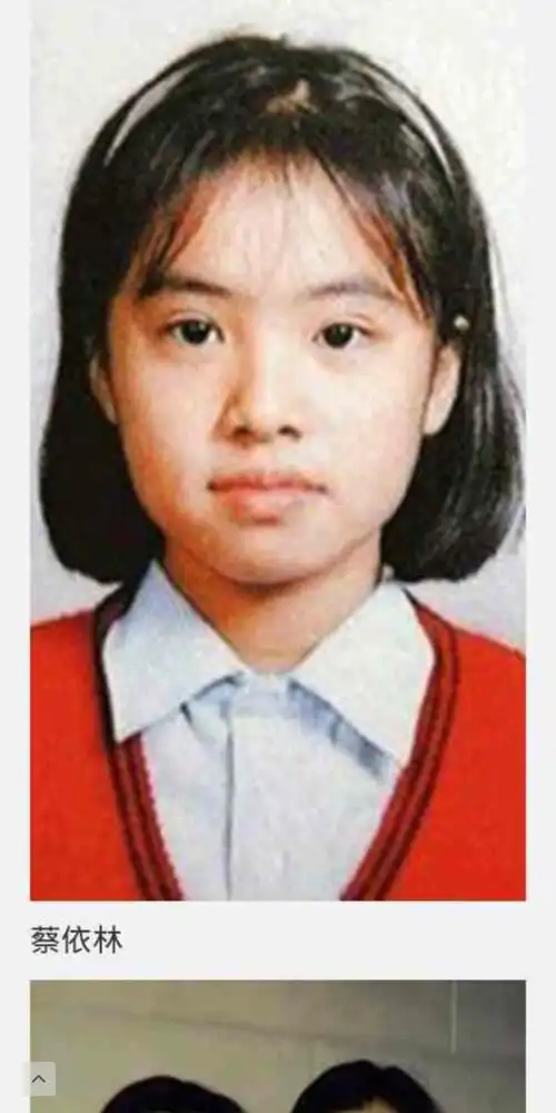 蔡依林年轻20岁去参加选秀,能c位出道吗?