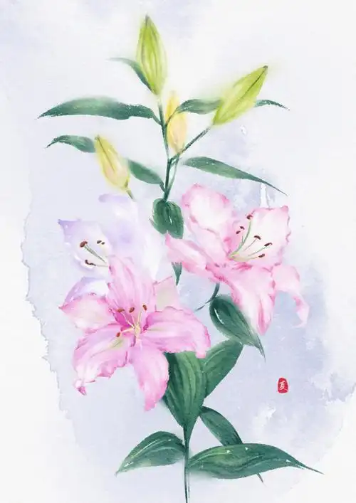 ipad水彩百合线稿77过程
