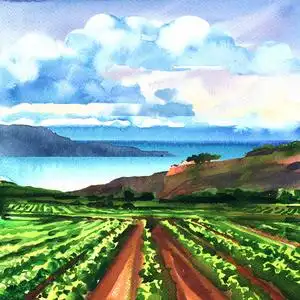 旅游葡萄园图片-旅游葡萄园素材-旅游葡萄园插画-摄图新视界