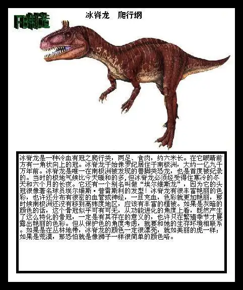 展开全部 冰脊龙,资料见图片