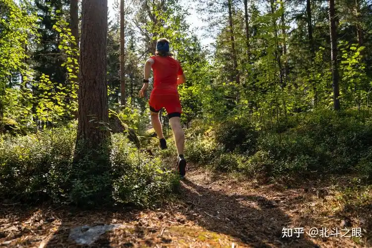 定向越野成功办赛要做好这六个关键点上