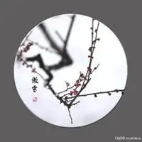 傲雪寒梅微信头像_微信头像图片大全