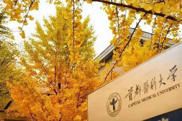 郑州大学医学院排名{高考志愿} - 指数牛