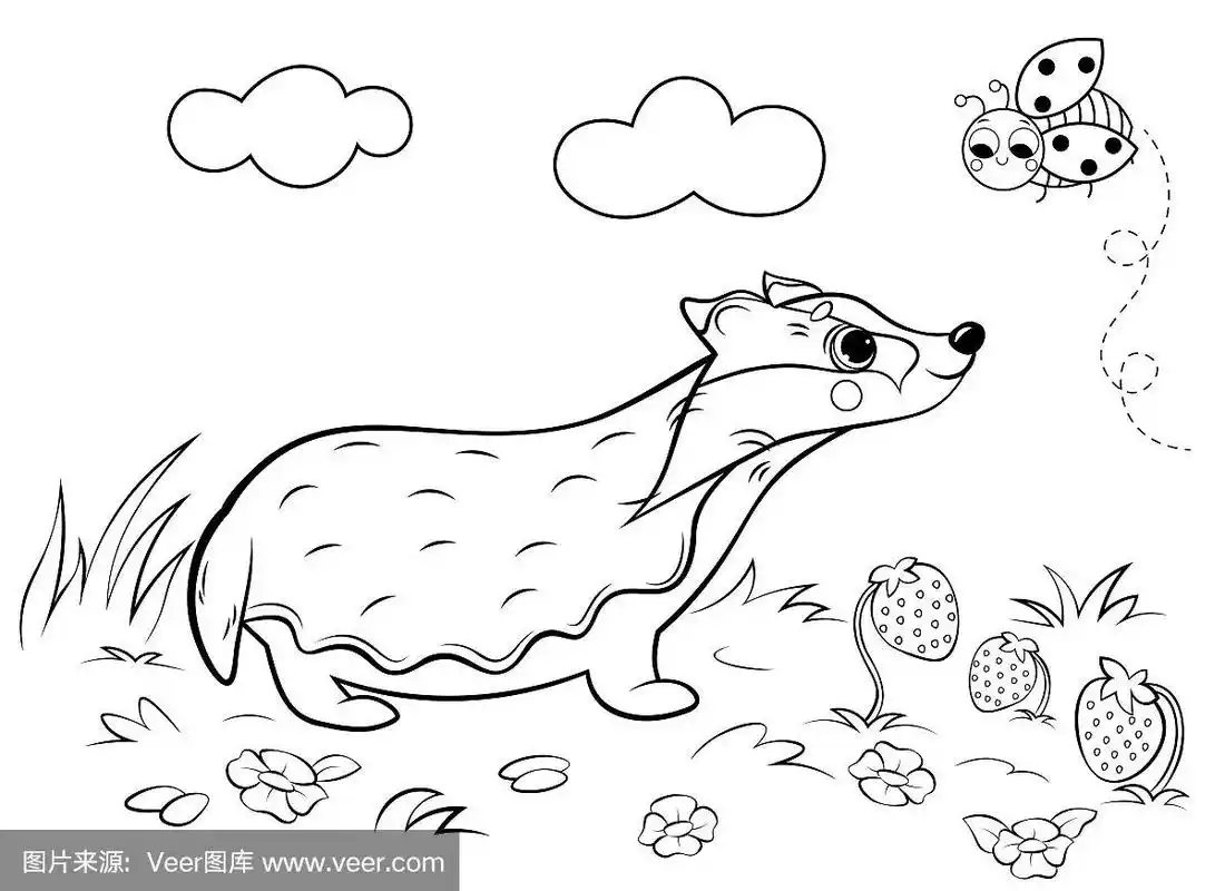 儿童森林野生动物着色书.