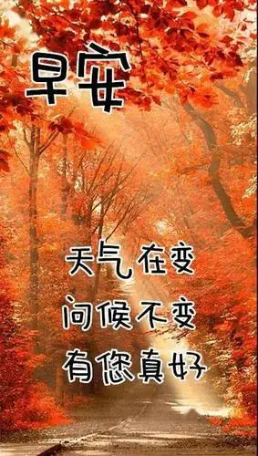 唯美冬天早安问候祝福风景图片带字温馨冬日漂亮的风景早上好图片带字