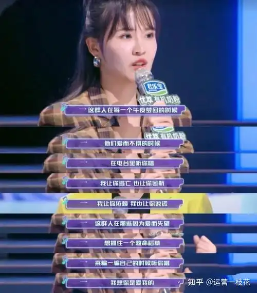 对杨宗纬的评语