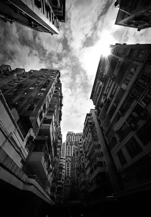 郑中基:tinyeyes的多重身份