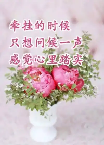 关心牵挂的问候图片