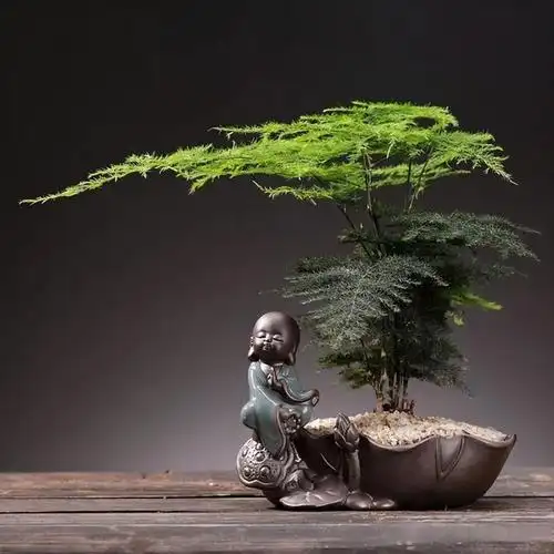 这"三竹子"特吉祥,有富贵招财"寓意好",日子越来越红火