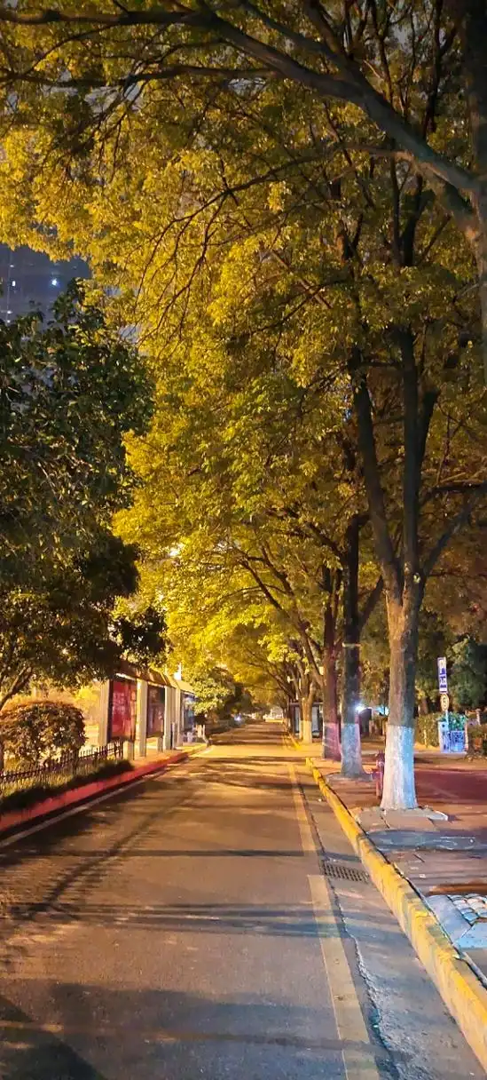 喜欢晚上一个人在城市的马路边,听着熟悉的音乐,何其不是一种享受呢!