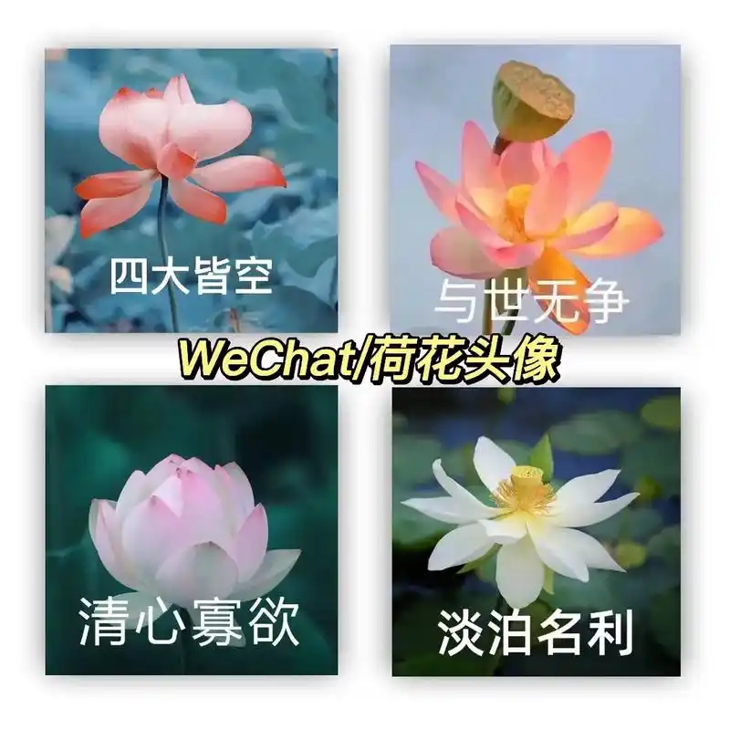 优质头像 #沙雕头像 #搞怪头像 #微信头像#头像库 妈见 - 兑趑