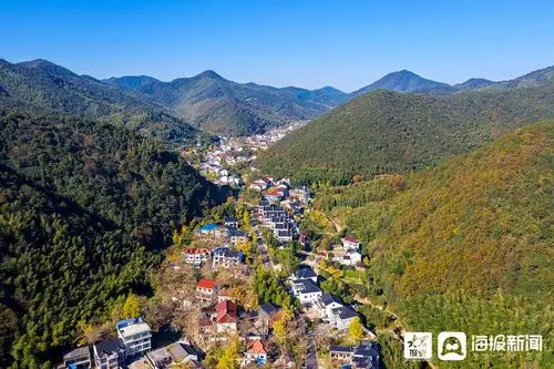 浙江长兴十里古银杏长廊景区美不胜收