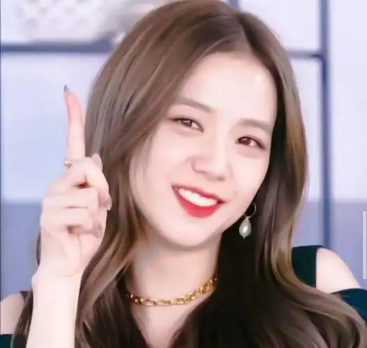 粉丝求图0608金智秀头像