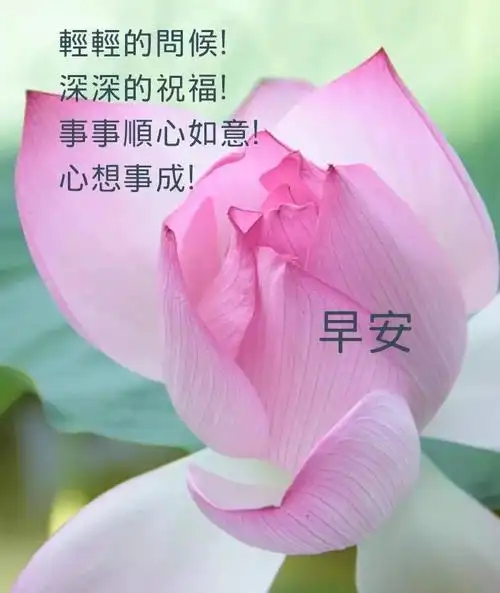 早上好祝福语优美句子早安祝福图大全